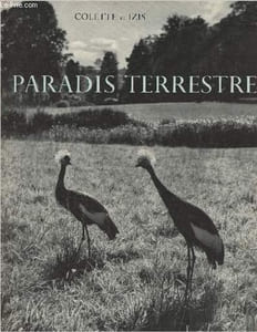 Paradis terrestre