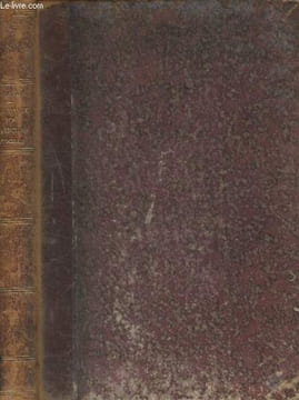 Dictionnaire des poinçons officiels français & étrangers, anciens & modernes de leur création (XIVe siècle) à nos jours - Platine, or & argent. Beuque ...
