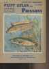 "Petit atlas des poissons - II - Poissons marins - ""Atlas des vertébrés"" fasc. II". Bertin Léon