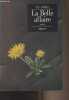 "La Belle affaire - ""D'aujourd'hui étranger""". Boyle T.C.