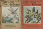 Petit atlas des insectes - I. Hémiptères, névroptères, diptères - II. Orthoptères, hyménoptères, arachnides, myriapodes. Colas G./Morère A.