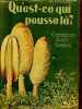 QU'EST CE QUI POUSSE LA? - CHAMPIGNONS BAIES SIMPLES / COLLECTION GUIDES DU NATURALISTE - VOLUME II.. KOSCH A.