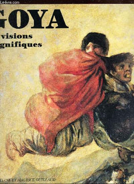 GOYA- LES VISIONS MAGNIFIQUES. GUILLAUD JACQUELINE ET MAURICE