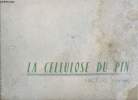 La cellulose du pin - Facture (France).. Collectif