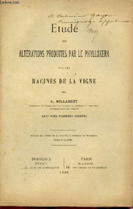 Etude des altérations produites par le phylloxéra + envoi de l'auteur.