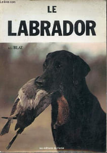 Le labrador.