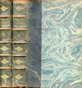Loup parmi les loups - En deux tomes - Tomes 1 + 2 - Roman.