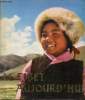 Le Tibet aujourd'hui.. Collectif