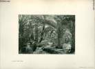 Jardins du vieux Biskra - Une photogravure en monochrome extraite de la revue mensuelle L'Algérie artistique et pittoresque (vers 1890).. Collectif