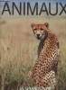 Animaux le grand livre.. Cauchy Jean-Christophe
