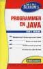 Programmer en Java - Mini Schaum's.. R.Hubbard John