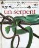 Qui suis-je ? Un serpent.. Parsons Alexandra