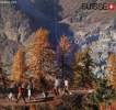 Plaquette : Suisse.. Collectif