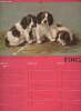 Calendrier 1962 Boule d'or - disque d'or - Beurre Bouvron.. France
