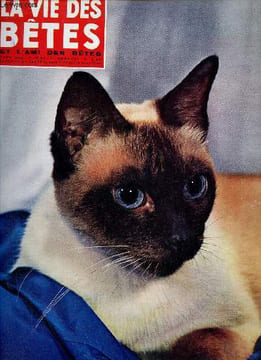 La vie des bêtes et l'ami des bêtes n°44 mars 1962 - Le chat siamois - l'écrevisse et son élevage - l'etreinte de l'anaconda - la sinistre besogne du ...