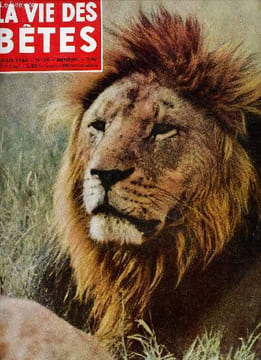 La vie des bêtes et l'ami des bêtes n°24 juillet 1960 - Le loup-cervier - yeti ou es tu ? - le poisson cet ancetre enigmatique - abeilles et pollen - ...