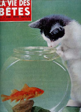 La vie des bêtes et l'ami des bêtes n°65 décembre 1963 - Encore les viandards - les animaux et la lune - histoire de lascar chien policier - quand la ...