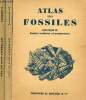 Atlas des fossiles - En 3 tomes - Tomes 1 + 2 + 3 - Tome 1 : Fossiles primaires et triasiques - Tome 2 : Fossiles jurassiques et crétaciques - Tome 3 ...