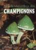 Monde merveilleux des champignons.. H.L.Pursey