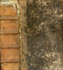Encyclop&eacute;die du commer&ccedil;ant - Dictionnaire du commerce et des marchandises contenant tout ce qui concerne le commerce de terre et de mer - Tome 2 : ...