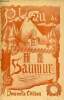 Un plan en couleur dépliant de Saumur - nouvelle édition - plan d'environ 50 x 33 cm.. Collectif