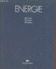 Energie leistungen prognosen alternativen.. Anders Hans & Voigt Felix & K.H.Hoffmann