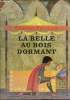 La belle au bois dormant - Collection fantaisie n°49 série 105.. Perrault Charles