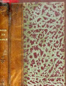 Petit mois de Marie ou sentiments du coeur de la Vierge Immaculée dans les différentes phrases de sa vie.