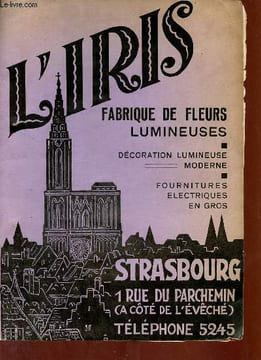 Catalogue L'Iris fabrique de fleurs lumineuses - décoration lumineuse moderne - fournitures électriques en gros.. Collectif