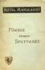 Stuttgart führer durch die stadt und in deren umgebung mit beldern, stadtplan und umgebungskarte - Herausgegeben und seinen hochgeschätzten gästen zur ...