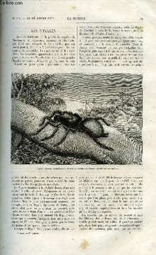 La nature n° 134 - Les mygales par le Dr Paul Brocchi, Ascension aérostatique au dessus des nuages a neige par Gaston Tissandier, Iles Saint Paul et ...