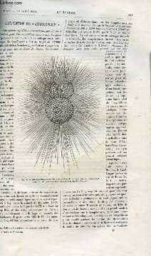 La nature n° 167 - L'expédition du challenger, Colonne verticale de lumière observée au coucher du soleil par Amédée Guillemin, Des hauteurs ...