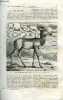 La nature n° 291 - Les antilopes par E. Oustalet, Exposition universelle de 1878 par Ch. Boissay, Coup d'oeil sur la faune de la Nouvelle Guinée, les ...