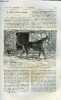 La nature n° 432 - Le chien sauvage d'Australie par Paul Juillerat, La grande comète de 1881 exposé général des observations par Camille Flammarion, ...