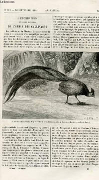 La nature n° 487 - Description d'un type peu connu de l'ordre des gallinacés par E. Oustalet, Le télégraphe de bourse par Ed. Hospitalier, La ...