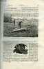 La nature n° 523 - Les poulpes géants par E. Oustalet, Machine a capsuler les bouteilles, Voyages en Birmanie, L'artillerie des grecs par A. de ...