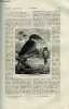 La nature n° 532 - Le clytoceyx rex, martin chasseur récemment découvert a la Nouvelle Guinée par E. Oustalet, Elevateurs a grains, L'observatoire du ...