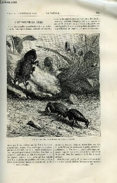 La nature n° 535 - L'hypocéphale armé par Maurice Girard, La navigation sous marine, Comment doit-on écrire un nombre ?, La photographie en médecine, ...