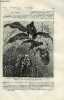 La nature n° 546 - La cuscute par J. Poisson, Les accumulateurs par E. Hospitalier, Les fourmis américaines, L'art naval dans l'antiquité, le corbeau, ...