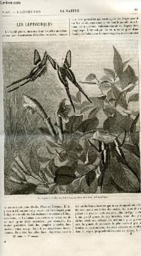 La nature n° 553 - Les leptocirques par Maurice Girard, Les machines d'assaut par A. de Rochas, Les excursions d'histoire naturelle de l'institut ...