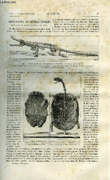 La nature n° 554 - Restauration de reptiles fossiles au muséum d'histoire naturelle de paris par Gaston Tissandier, La panclastite, Accumulateurs ...