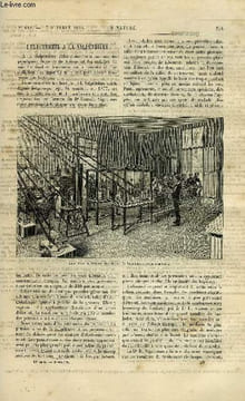 La nature n° 646 - L'électricité a la salpétrière, Le camp retranché d'Anvers par lt colonel Hennebert, Le coq de bruyère par E. Oustalet, Ballons ...
