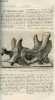 La nature n° 657 - Les dinocératidés du wyoming par Albert Gaudry, L'arithmétique en boules par Edouard Lucas, L'affaissement du pont neuf a Paris, ...