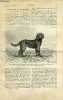 La nature n° 686 - L'exposition canine de 1886, les griffons d'arrêt, Une curieuse représentation géographique par Adrien Guébhard, Ascensions ...