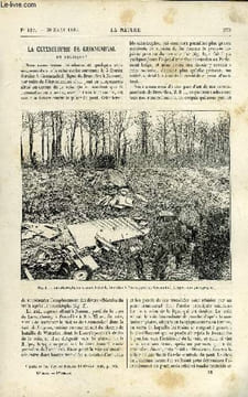 La nature n° 826 - La catastrophe de Groenendael en Belgique, Le point de congélation, Le port de Rouen par Daniel Bellet, Les éléphants au théatre ...