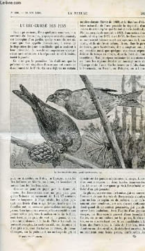 La nature n° 886 - Le bec-croisé des pins par F. de Schaeck, L'écrémeuse Jonsson par E. Fleurent, Moteurs a essence de pétrole, Les torpilleurs en ...