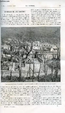 La nature n° 994 - L'ouragan de l'ile Maurice avec gravure dans le texte. COnstruction rapide d'une cannonière pour le Dahomey. Les oiseaux chanteurs ...
