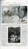 La nature n° 1090 - L'aptéryx du jardin des Plantes avec gravure dans le texte de l'aptéryx , article par Oustalet. Les éclairs en chapelet par ...