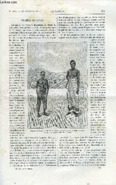 La nature n° 1115 - Pygmées du Congo. Les poiriers de France et les poiriers de Californie illustré de gravures dans le texte. L'intensité de la ...
