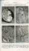 La nature n° 1146 - Imitation expérimentale de diverses particularités lunaires avec gravures dans le texte. Un bec de gaz acéthylène. La ...